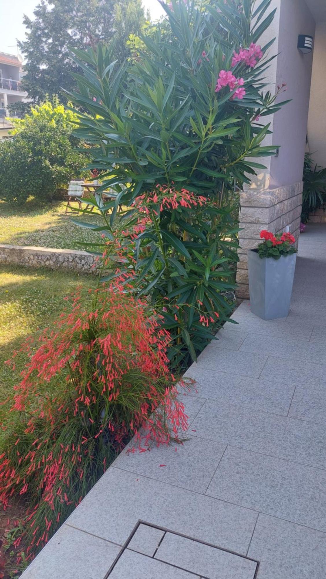 Near The Beach Pula Exterior photo